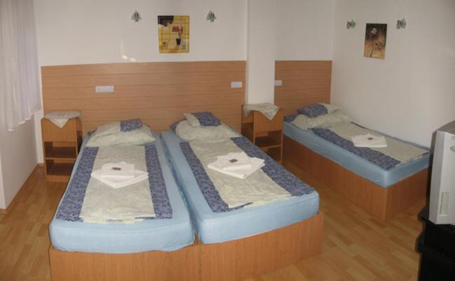 Nadix Panzio Bed & Breakfast Debrecen Bilik gambar